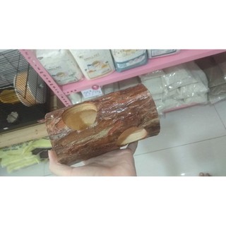 Ống chui gỗ tự nhiên