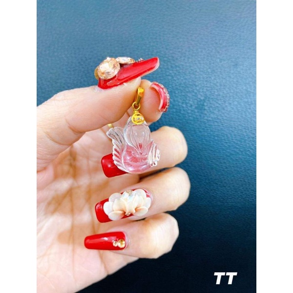 MÓC KIM TIỀN VÀNG LÀM MẶT ĐÁ