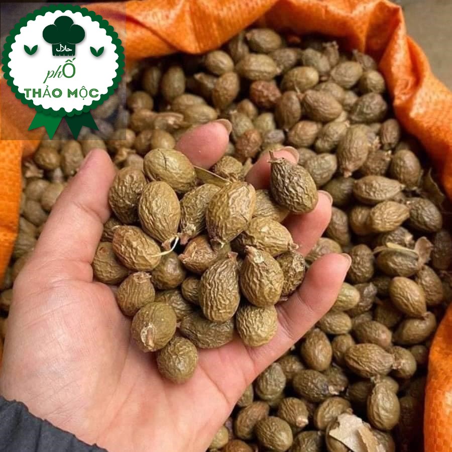 100g Hạt đười ươi bay loại 1