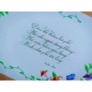 Bút mài thầy ánh SH048 nét thanh đậm