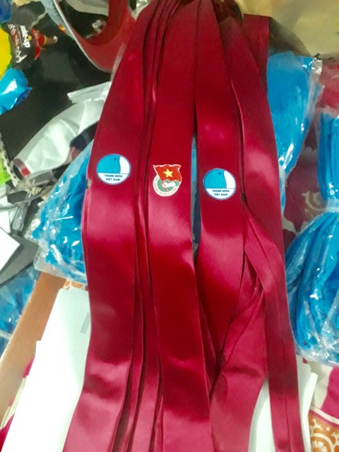 Cavat Hội LHTN Việt Nam