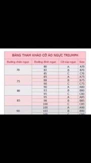Áo Triumph Simply Style Air WHU (E003414)