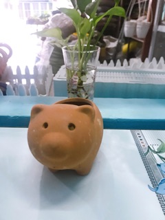 Chậu đất nung hình chú heo