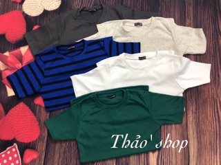 Combo  6 áo thun gân