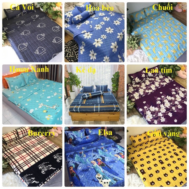 ⚡️[ FREE SHIP ] ⚡️ Set Ga Giường Cotton Poly Mẫu Mới 2021 | BigBuy360 - bigbuy360.vn