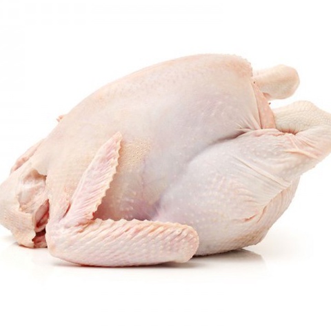 Gà dai/con 1,5-1,6kg