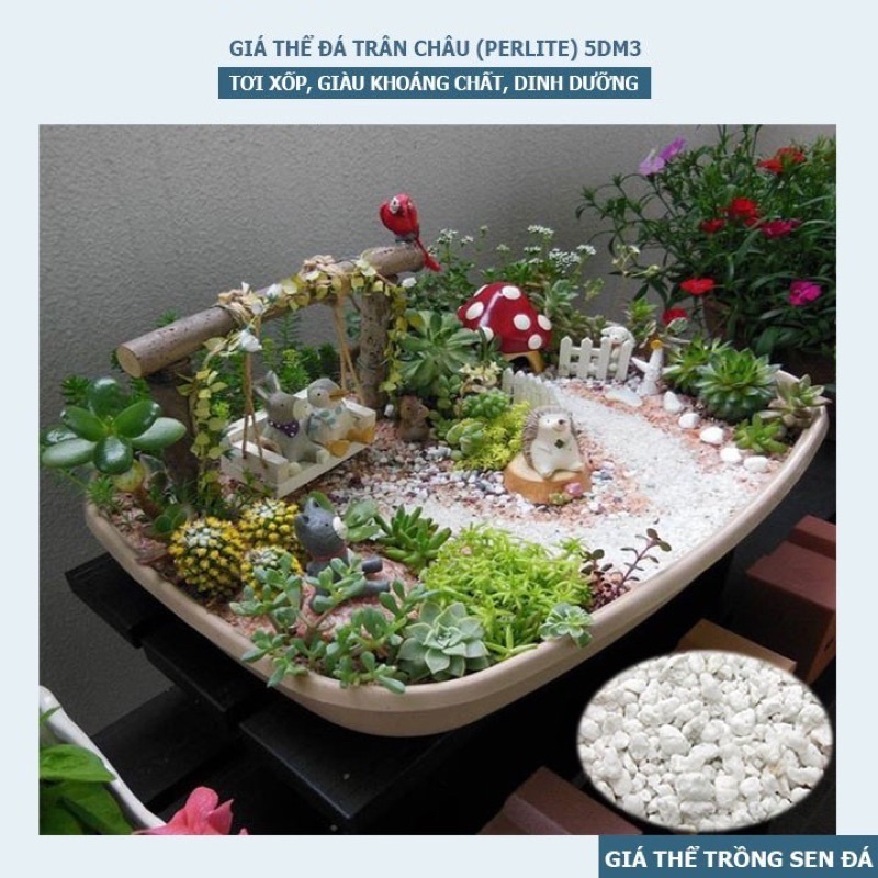 ĐÁ TRÂN CHÂU - ĐÁ PERLITE NAMIX - 5dm3 - 500gram