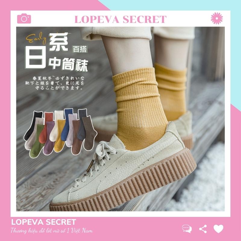 Tất Nữ Cổ Cao Style Hàn Quốc Vintage Cute Hoạt Hình Có Set 10 Đôi LOPEVA TV57