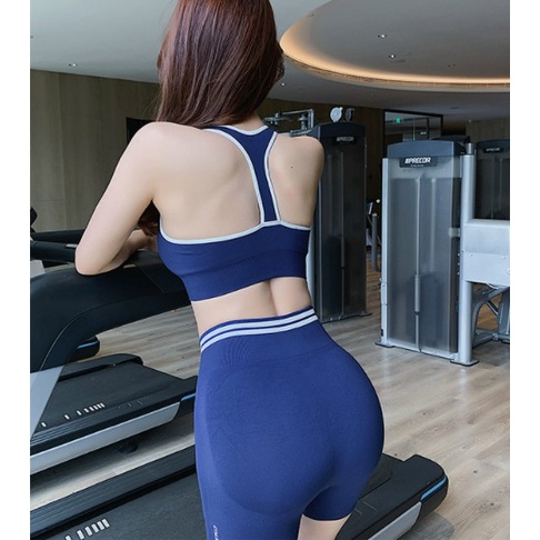 Set bộ đồ tập gym yoga nữ dệt kim ombre áo bra kèm mút quần đùi ngố cao cấp Bin Sports BL022