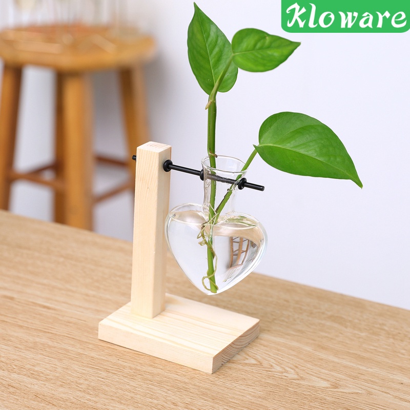 Bình trồng cây để bàn trang trí nội thất độc đáo