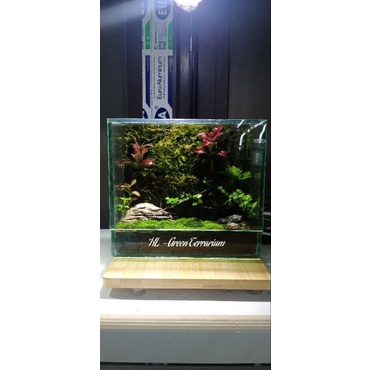 1kg Đá da voi, đá đen gia lại loại nhỏ dùng trong terrarium và thủy sinh, hòn non bộ.