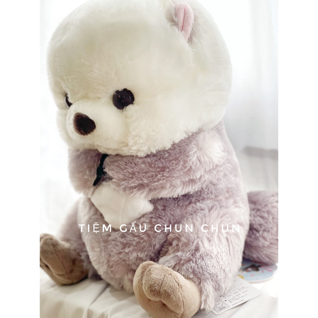 Gấu bông Amuse Nhật chính hãng