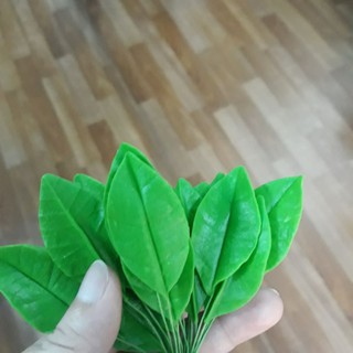 lá mai đất sét