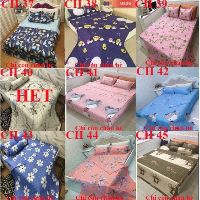 Chăn Hè COTTON POLY Trần Bông 3 lớp