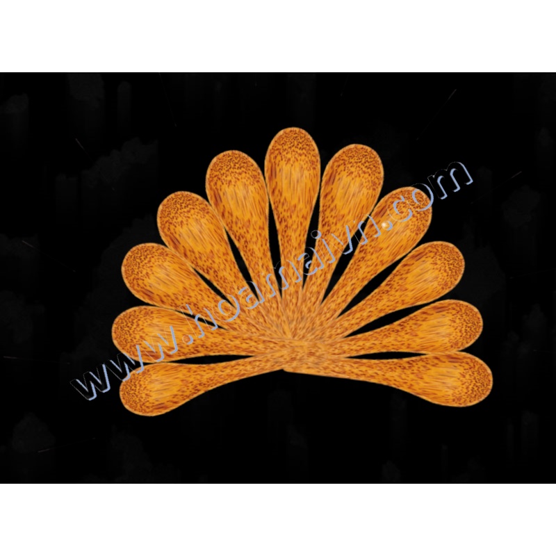 Muỗng cơm gỗ dừa Ohi@ma 1911