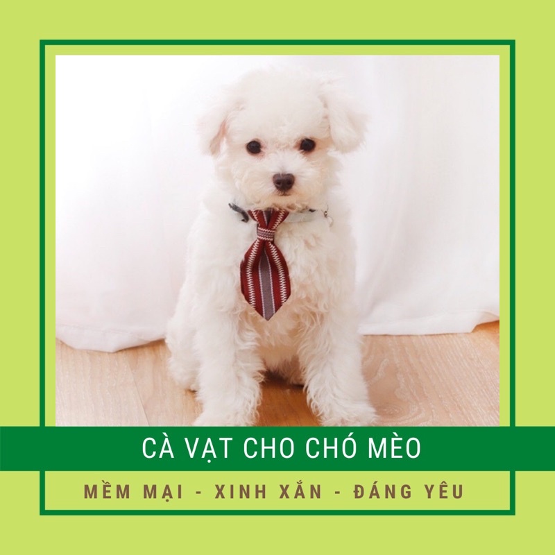Vòng Đeo Cổ Cà Vạt Cho Chó Mèo Từ 1-8kg Siêu Đáng Yêu Xinh Xắn | Thời Trang Dạo Phố Cho Chó Mèo