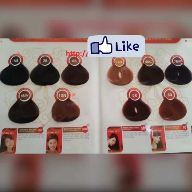 Thuốc nhuộm tóc double rich 60g các màu | BigBuy360 - bigbuy360.vn