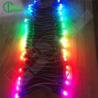 ✅[Siêu Rẻ] 50 LED ĐÚC F8 1903