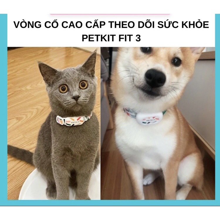 Vòng cổ Petkit cho chó mèo theo dõi sức khỏe Fit 3  bảo hành 12 tháng