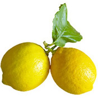 Tinh dầu chanh CITRON