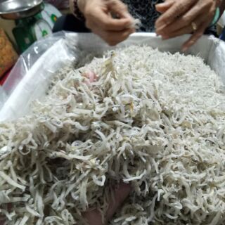 500gr Cá Cơm Mờm Sữa Nhỏ ( loại xịn)