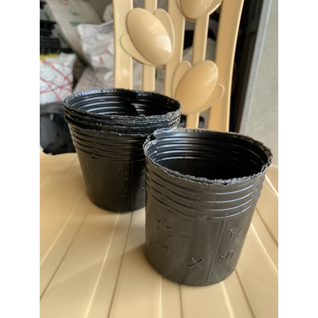 BẦU ƯƠM CÂY 12*10 ( DỊCH TRUYỀN CHO CÂY, KÍCH RỄ , MẦM CÂY XANH LÁ, LƯỚI CHE NẮNG...)