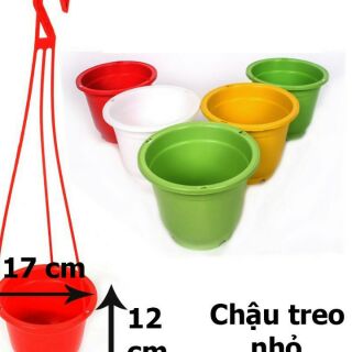Chậu trồng hoa siêu hót rộng 17cm x12cm
