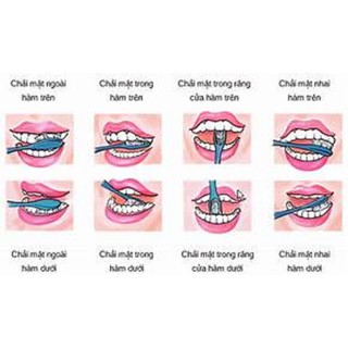 Bàn Chải đánh răng Lipzo Ruby sensi