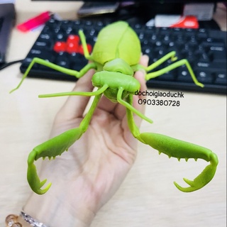 Đồ chơi bọ ngựa điều khiển từ xa - đồ chơi điều khiển