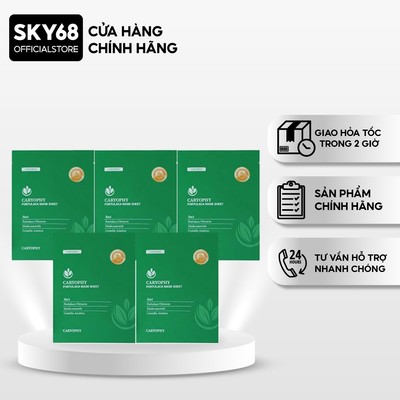 Combo 5 Mặt Nạ Giảm Mụn Chuyên Sâu Caryophy Portulaca Mask Sheet 22gr x 5