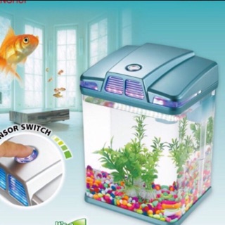 Bể cá mini(combo:bể, bơm , đèn,tiểu cảnh)