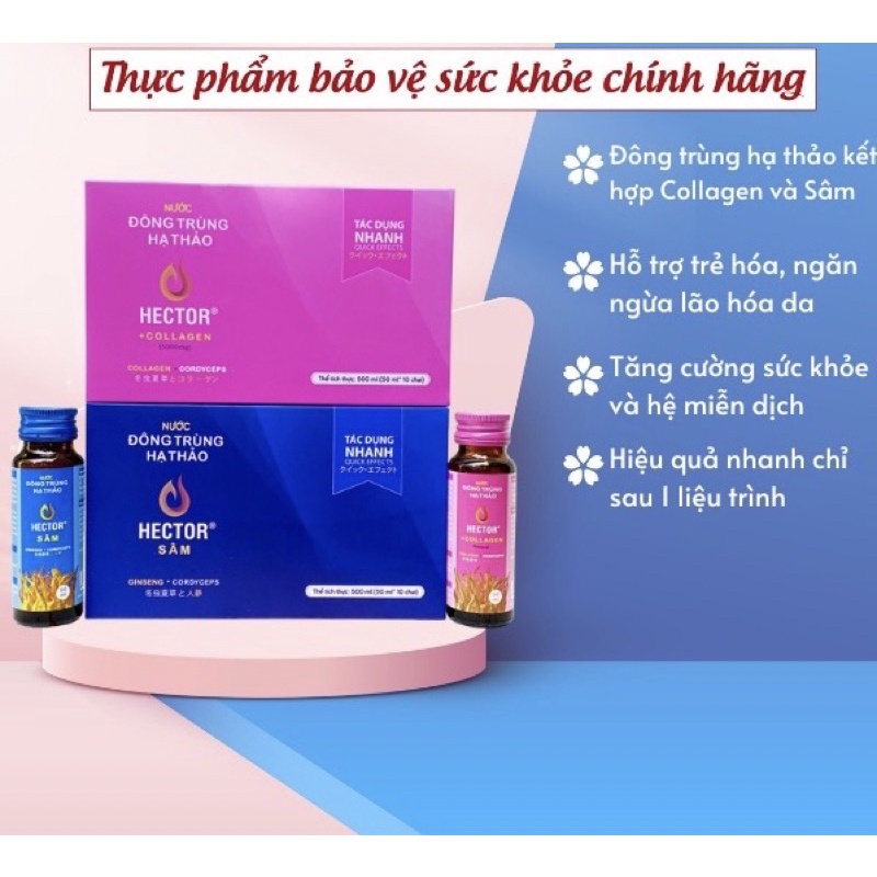 Combo nước đông trùng hạ thảo Hector collagen và Hector sâm