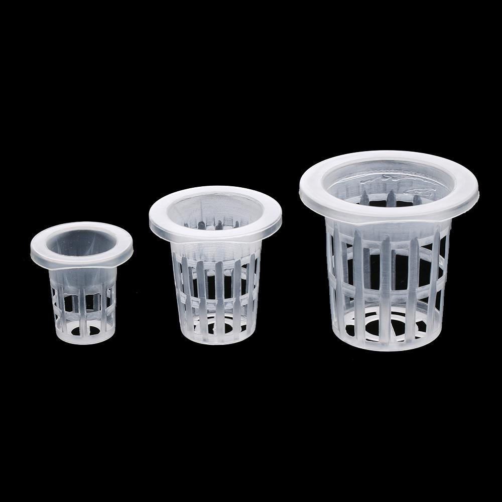 BORAG 10 / 50 Chậu Trồng Cây Thủy Canh Không Cát