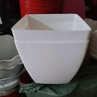 10 chậu vuông 16cm