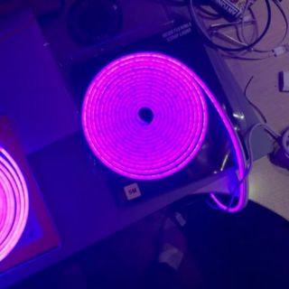 Led trang trí neon cuộn 5m 12v