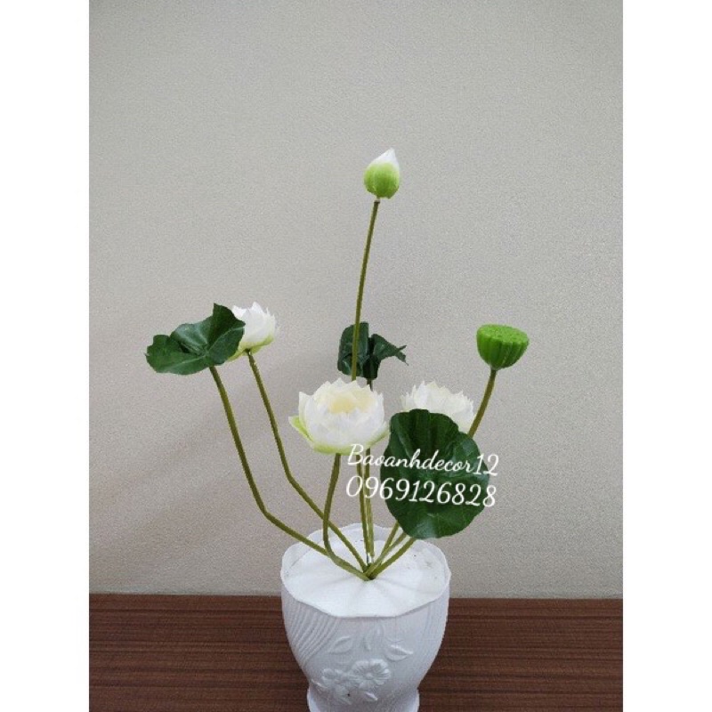 Cây hoa sen giả,hoa sen thái loại đẹp cao 72cm,62cm,45cm