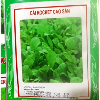 HẠT GIỐNG RAU CẢI ROCKET CAO SẢN
