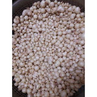 củ nén- hành tăm 500 gr