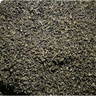 100G HẠT MẮC KHÉN (HẠT XẺN) TÂY BẮC LOẠI ĐẸP