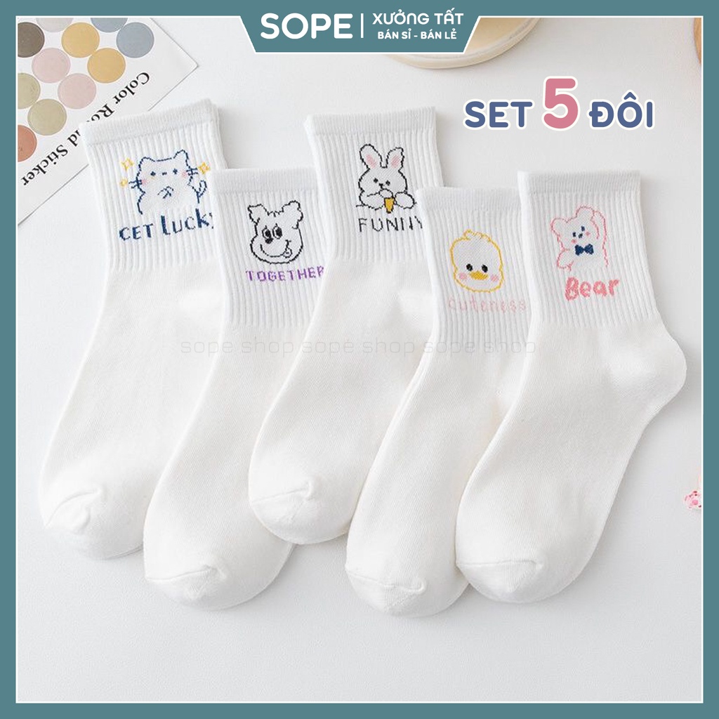 Tất vớ nữ cổ cao chất liệu cotton co giãn bốn chiều, set tất vớ nữ họa tiết xinh - Sope Shop