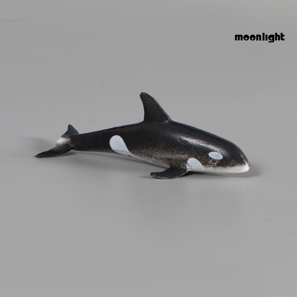 Bộ 12 mô hình cá voi / cá mập / cá voi mini bằng pvc độc đáo cho bé