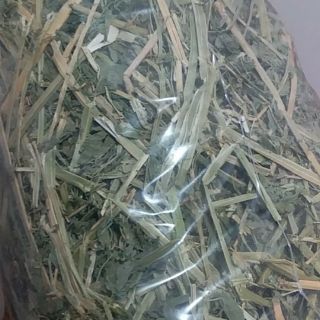 Cỏ khô Alfalfa 1kg giá rẻ dành cho thỏ bọ