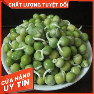 Hạt Giống Mầm ĐẬU HÀ LAN XANH  ITALIA - Ngon, Rẻ, Tốt Cho Sức Khỏe (50gr)