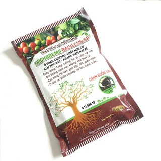 Trichoderma 1kg - chế phẩm hữu cơ số 1 VN