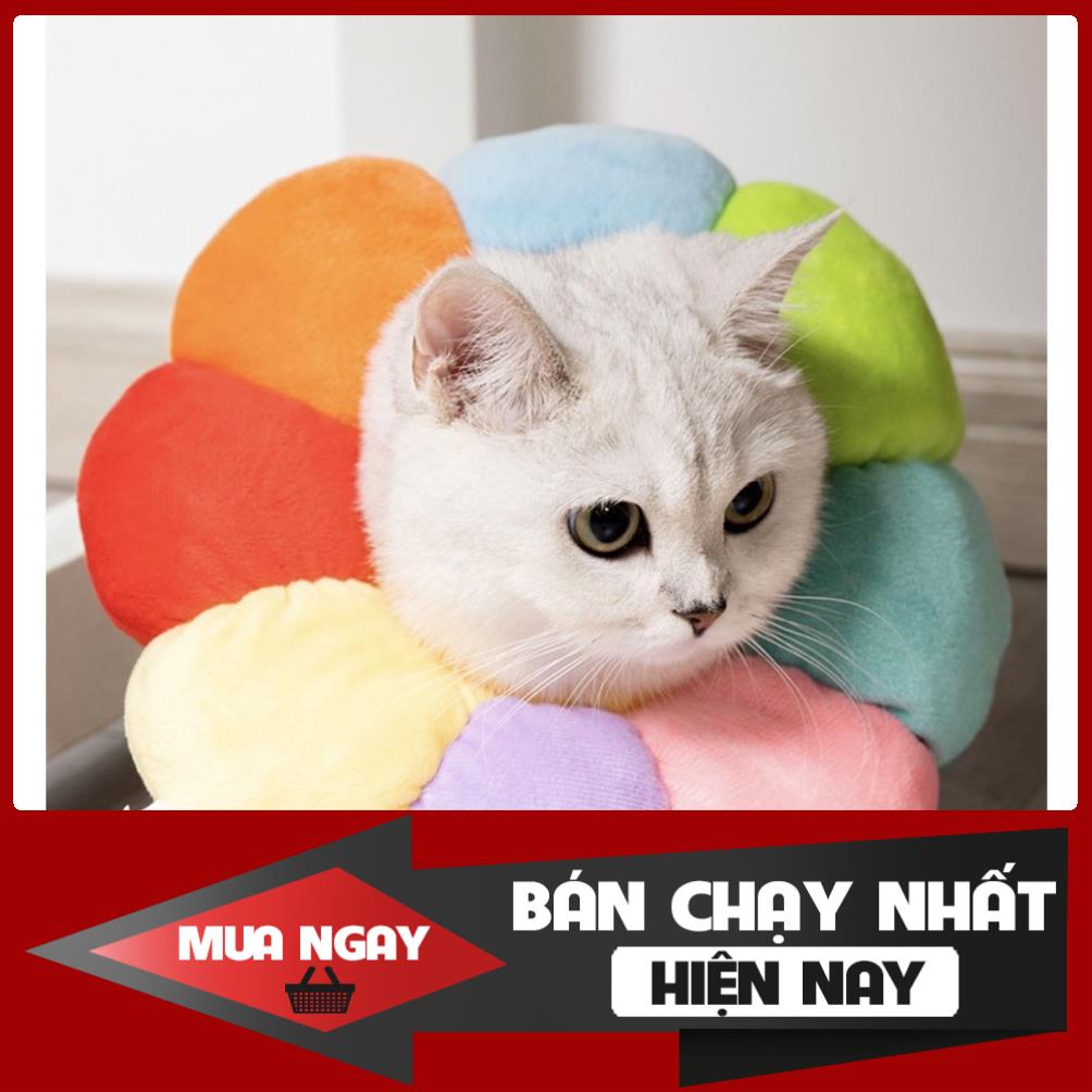 [NEW] Vòng chống liếm hình hoa cho chó mèo bông mềm mịn nhiều màu cao cấp