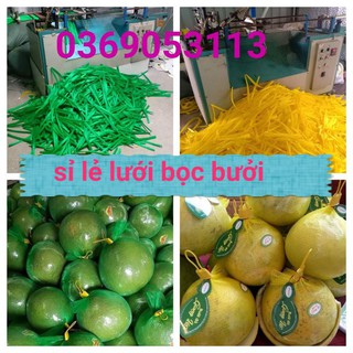5kg túi lưới đựng bưởi