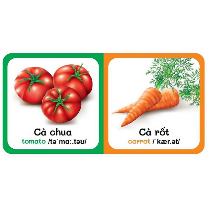 Sách - Từ Điển Bằng Hình Đầu Tiên Của Bé - Vegetables - Rau Củ (Song Ngữ Anh - Việt)