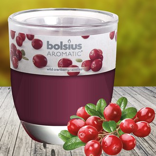 LY NẾN THƠM BOLSIUS PTT024346 HƯƠNG NAM VIỆT QUẤT 105G