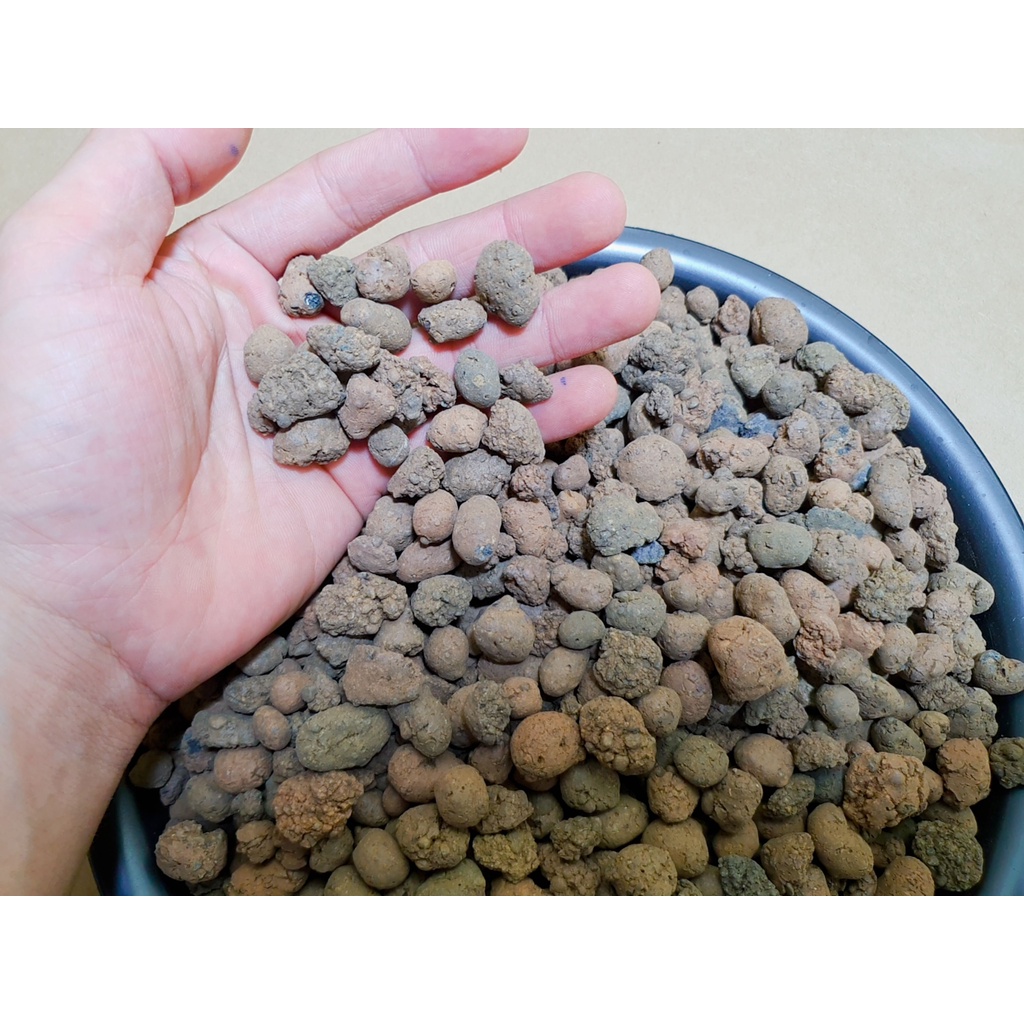 Giá Thể Viên Đất Nung Sỏi Nhẹ SFARM Kích Thước 5 - 10 MM Chuyên Trồng Cây Cảnh Thủy Canh, Rau Ăn Lá