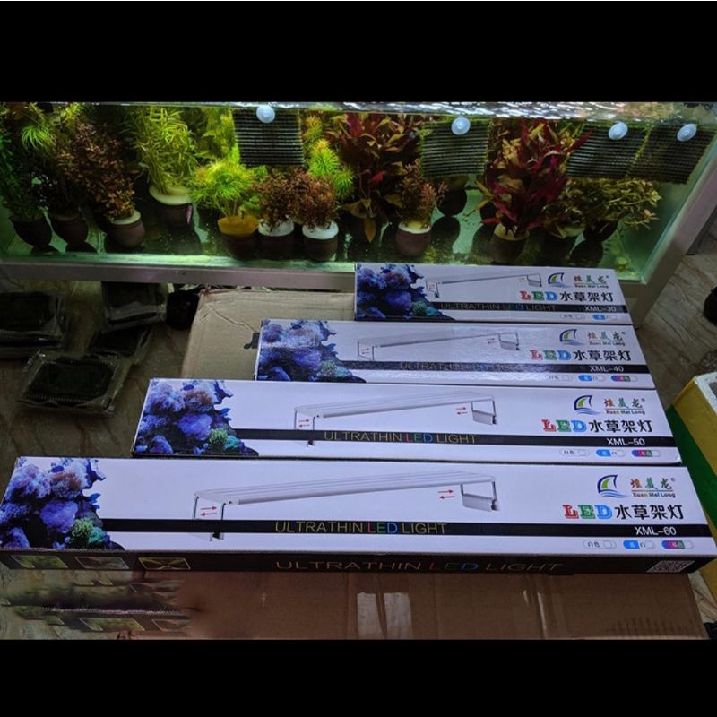 Led máng của Xuan Mei Long model XML 4 dãy led trắng - GuppyXanh